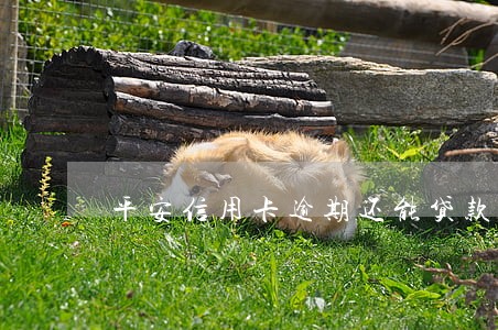 平安信用卡逾期还能贷款吗
