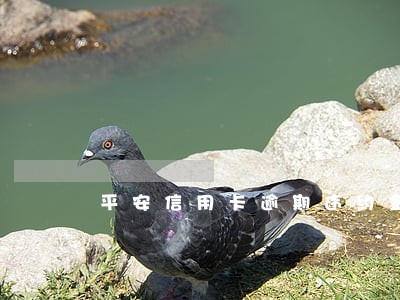 平安信用卡逾期违约金多少 平安信用卡逾期违约金多少