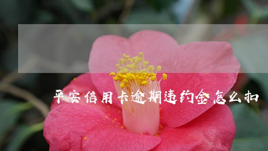 平安信用卡逾期违约金怎么扣 平安信用卡逾期违约金怎么扣