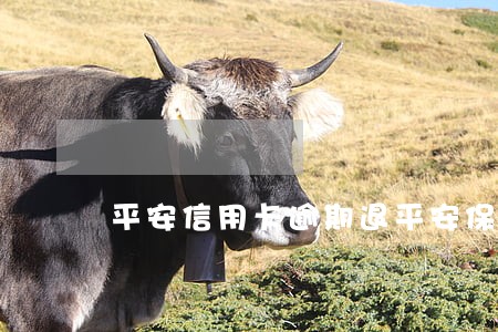 平安信用卡逾期退平安保险
