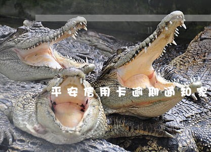 平安信用卡逾期通知家人