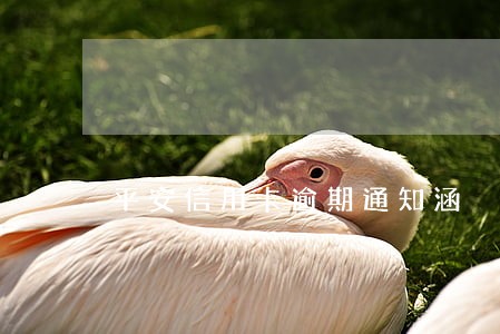 平安信用卡逾期通知涵 平安信用卡逾期通知涵