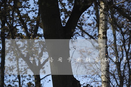 平安信用卡逾期逾期利息怎么算 平安信用卡逾期逾期利息怎么算