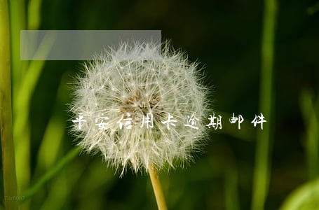 平安信用卡逾期邮件 平安信用卡逾期邮件