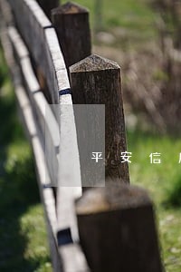 平安信用卡逾期邮寄的速易递
