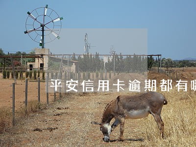 平安信用卡逾期都有哪些费用 平安信用卡逾期都有哪些费用