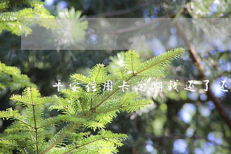 平安信用卡逾期钱还了还能用吗 平安信用卡逾期钱还了还能用吗