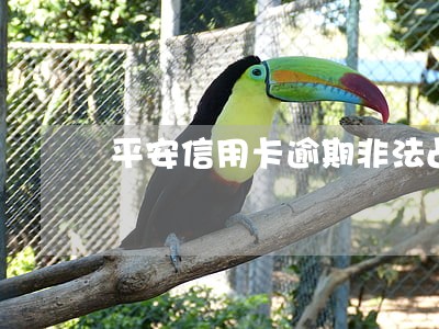 平安信用卡逾期非法占有 平安信用卡逾期非法占有