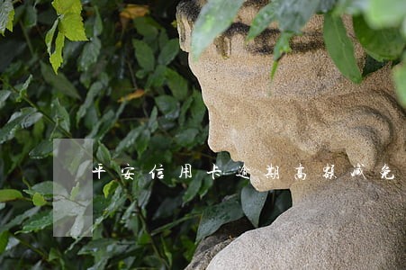 平安信用卡逾期高额减免