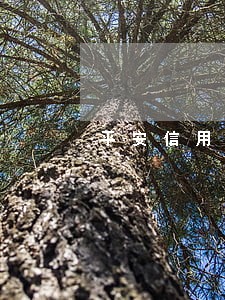 平安信用贷逾期一天怎么办 平安信用贷逾期一天怎么办