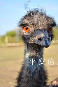 平安信用贷逾期贷款几天 平安信用贷逾期贷款几天