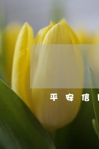 平安信用逾期几天上征信 平安信用逾期几天上征信
