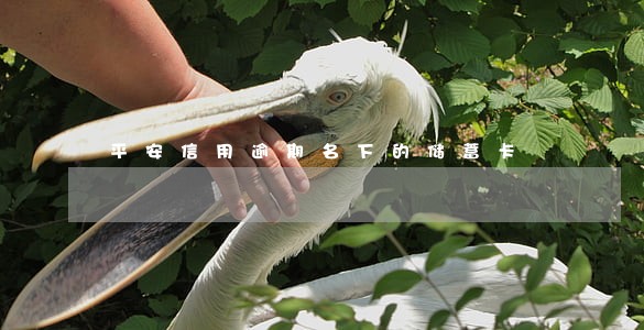 平安信用逾期名下的储蓄卡 平安信用逾期名下的储蓄卡