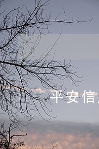 平安信用逾期怎么查询 平安信用逾期怎么查询
