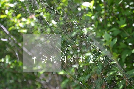 平安信用逾期查询 平安信用逾期查询