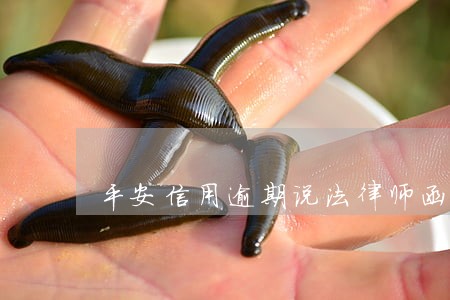 平安信用逾期说法律师函 平安信用逾期说法律师函