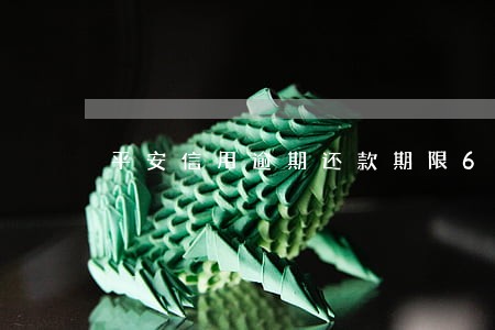 平安信用逾期还款期限6 平安信用逾期还款期限6