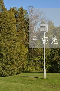 平安凭租车贷逾期5天上征信嘛