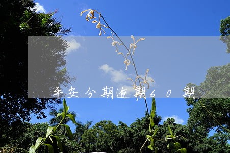 平安分期逾期60期 平安分期逾期60期