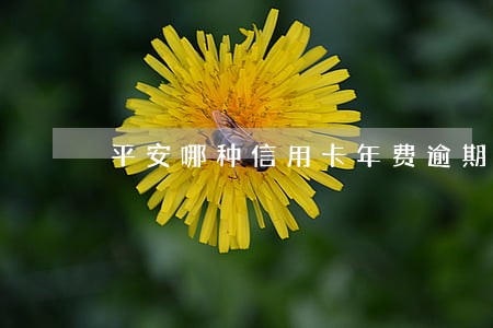平安哪种信用卡年费逾期不上征信 平安哪种信用卡年费逾期不上征信