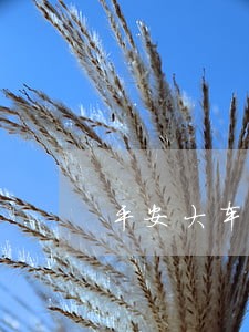 平安大车贷款逾期一天有影响吗