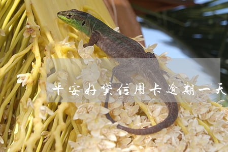 平安好贷信用卡逾期一天