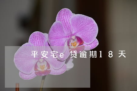 平安宅e贷逾期18天 平安宅e贷逾期18天