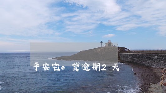 平安宅e贷逾期2天