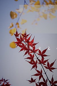 平安宅易贷逾期1天 平安宅易贷逾期1天