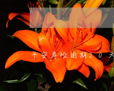 平安寿险逾期20天费用会增加吗 平安寿险逾期20天费用会增加吗