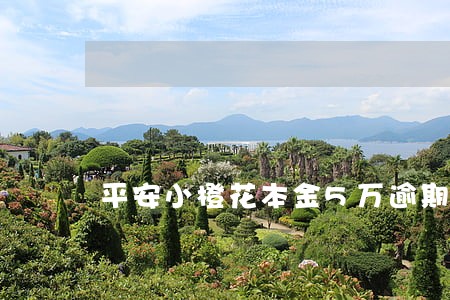平安小橙花本金5万逾期会怎么样 平安小橙花本金5万逾期会怎么样