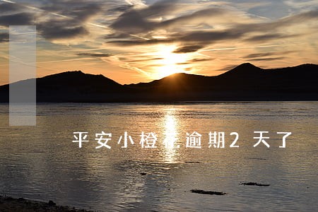平安小橙花逾期2天了 平安小橙花逾期2天了