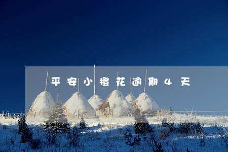 平安小橙花逾期4天 平安小橙花逾期4天