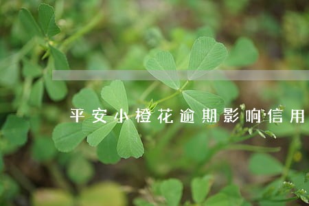 平安小橙花逾期影响信用卡吗 平安小橙花逾期影响信用卡吗