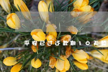 平安已过还款期10天算逾期吗 平安已过还款期10天算逾期吗