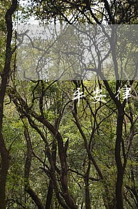 平安律师田甜