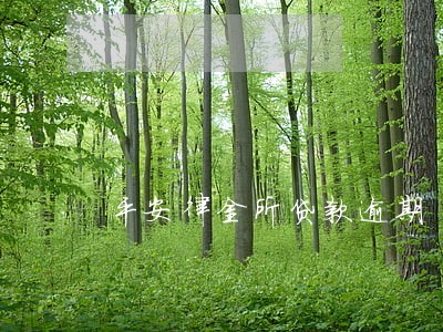 平安律金所贷款逾期 平安律金所贷款逾期
