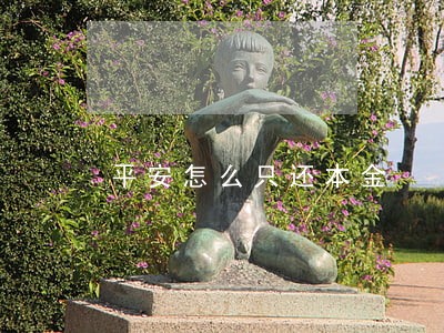 平安怎么只还本金