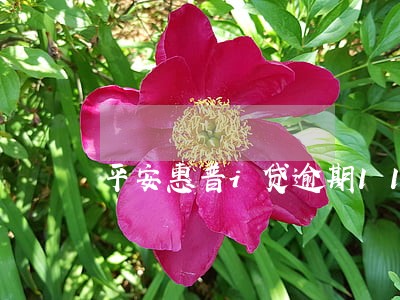 平安惠普i贷逾期11次