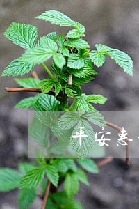 平安惠普i贷逾期1天了 平安惠普i贷逾期1天了