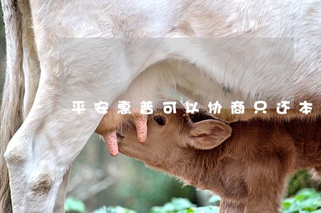 平安惠普可以协商只还本金吗 平安惠普可以协商只还本金吗