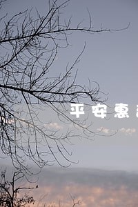 平安惠普欠了3000逾期一年 平安惠普欠了3000逾期一年