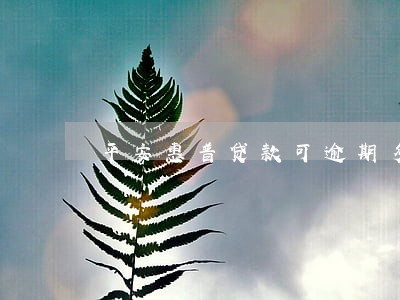 平安惠普贷款可逾期多久