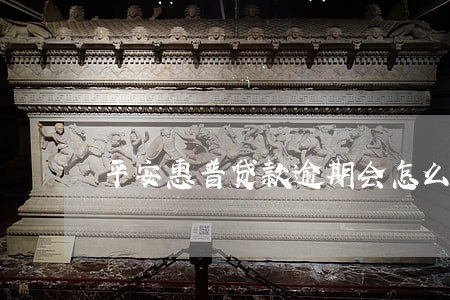 平安惠普贷款逾期会怎么样 平安惠普贷款逾期会怎么样