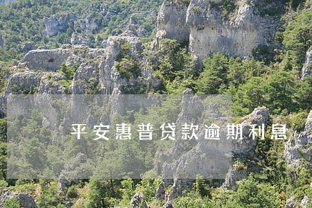 平安惠普贷款逾期利息 平安惠普贷款逾期利息