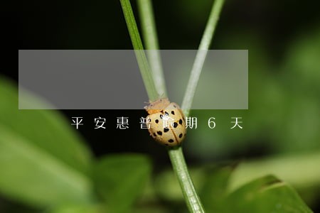平安惠普逾期6天 平安惠普逾期6天