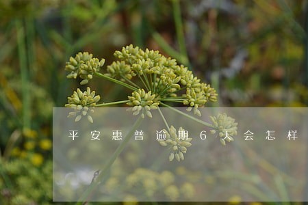 平安惠普逾期6天会怎样 平安惠普逾期6天会怎样