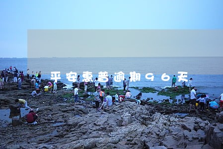 平安惠普逾期96天