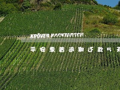 平安惠普逾期还款5天会怎么样 平安惠普逾期还款5天会怎么样