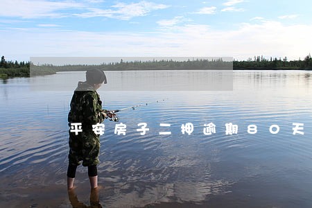 平安房子二押逾期80天后怎样